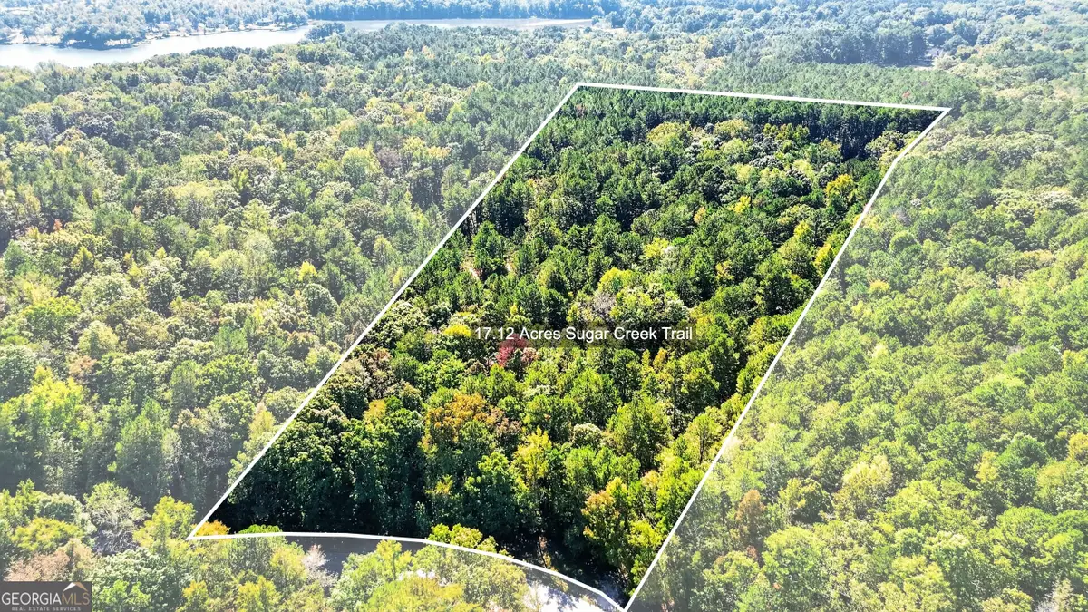 TRACT 1 Sugar Creek Trail, Buckhead, GA 30625 - #1