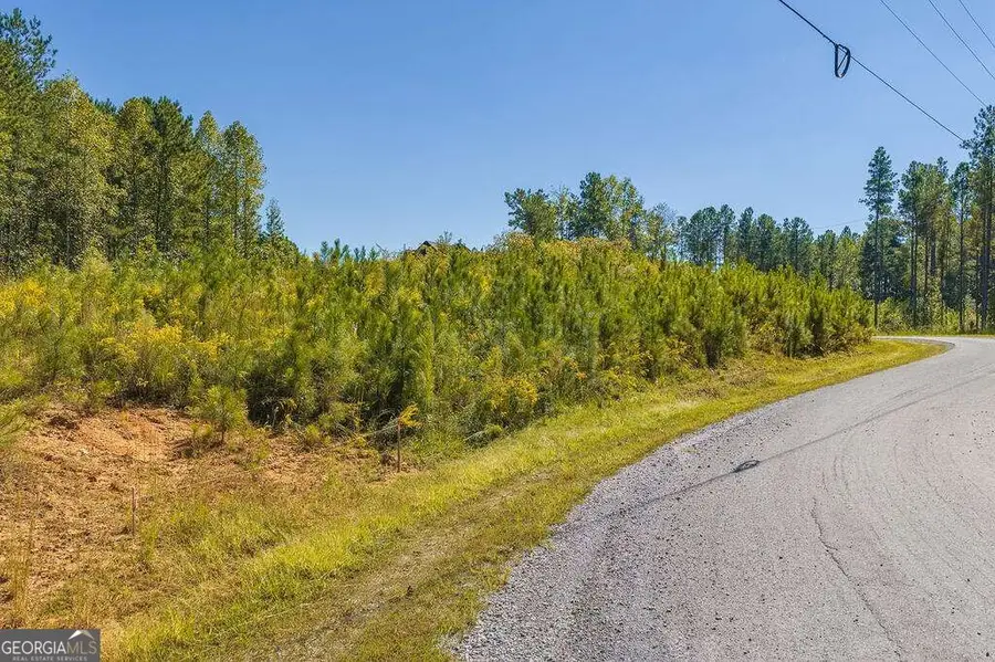 2571 Blalock Mountain Road #125, Talking Rock, GA 30175 - #3