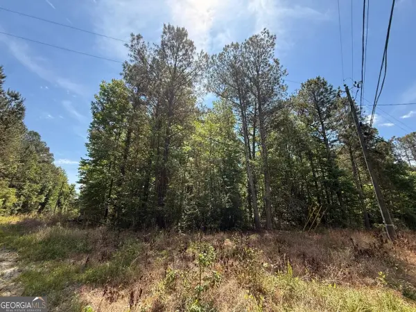 467 N Raburn Road, Bremen, GA 30110