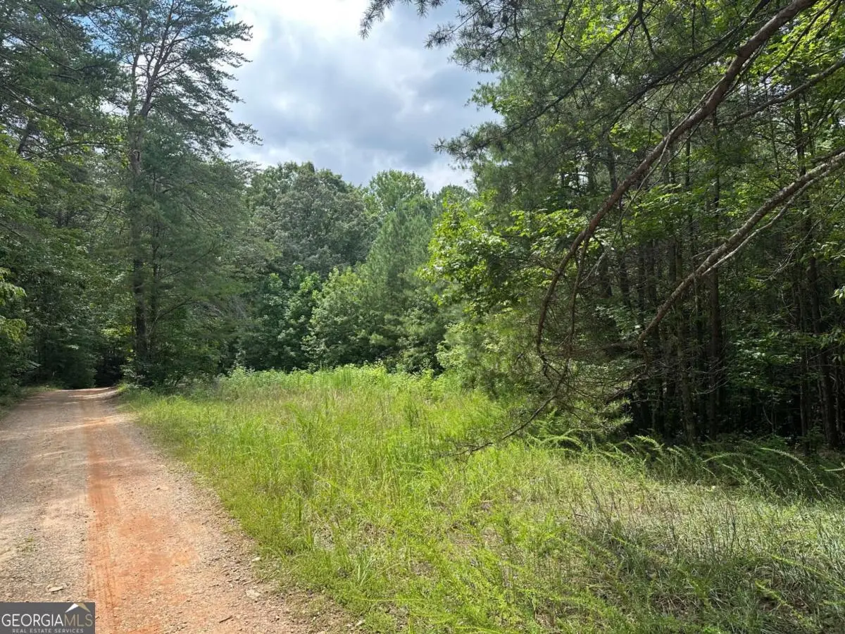 7-/+ Charlie Lemley Road, Dawsonville, GA 30534 - #1