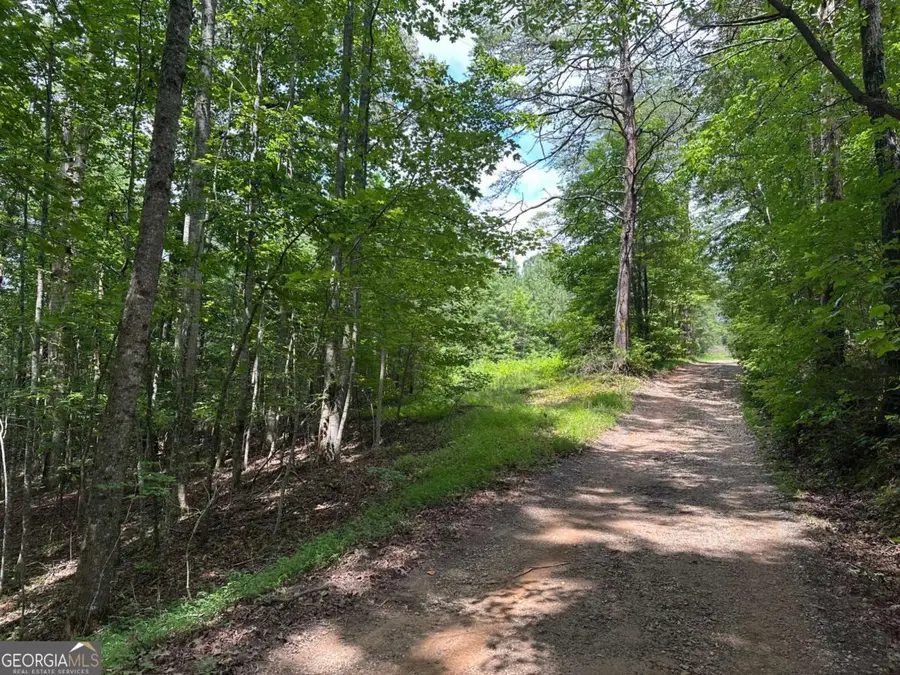 7-/+ Charlie Lemley Road, Dawsonville, GA 30534 - #2