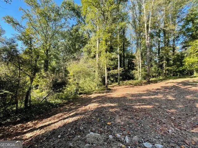 447 Martindale Court, Stone Mountain, GA 30088 - #2