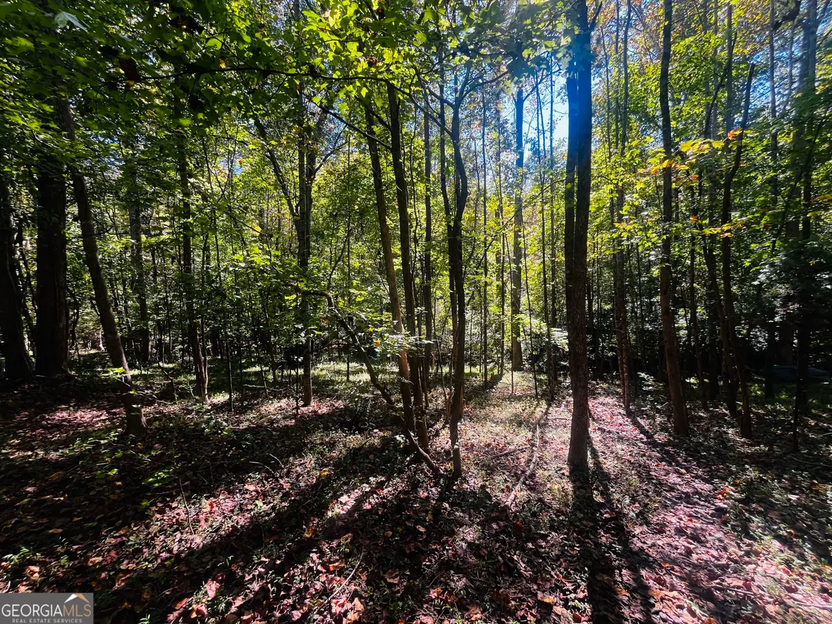 LOT 14 Lakeview Court, Banks, GA 30511 - #1