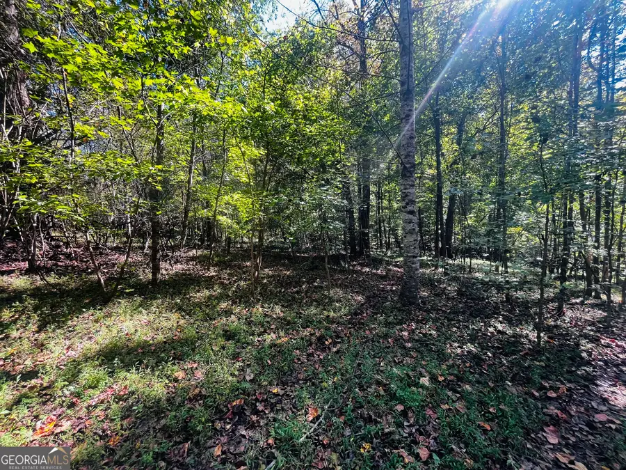 LOT 14 Lakeview Court, Banks, GA 30511 - #2