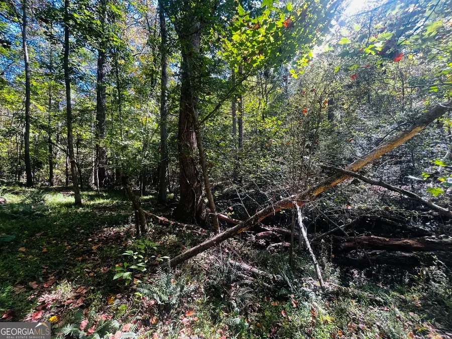 LOT 14 Lakeview Court, Banks, GA 30511 - #3