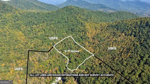 5.71 AC Forest Service 117 Road, Blairsville, GA 30512