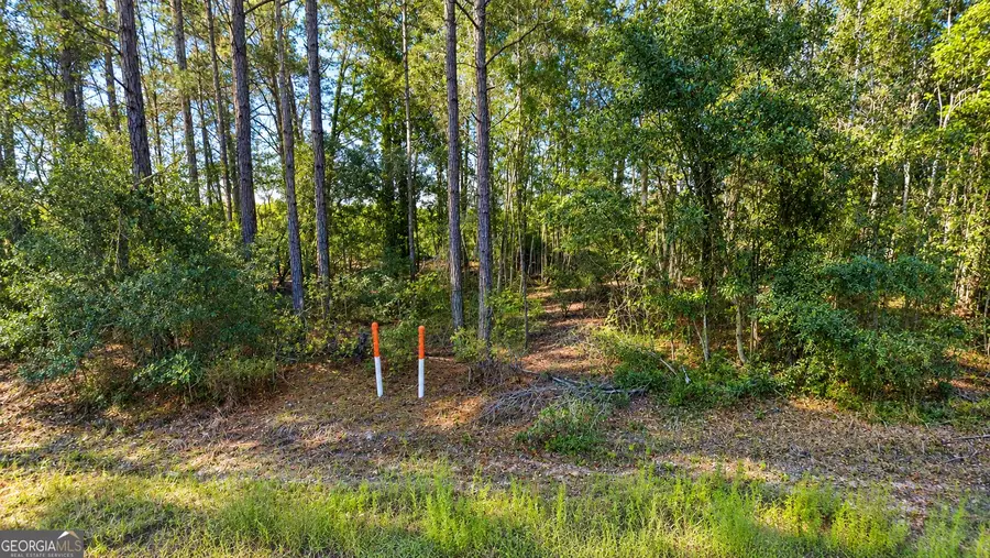 0 Old Surrency Road, Surrency, GA 31563 - #2