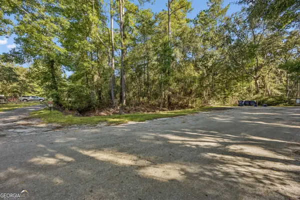 V/L 28 Gowen S/d, Woodbine, GA 31569