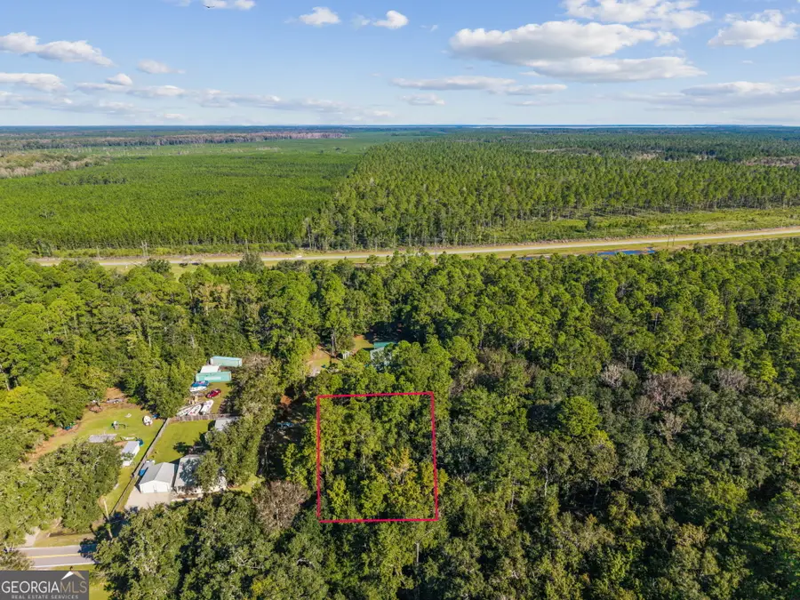 V/L 28 Gowen S/d, Woodbine, GA 31569 - #3