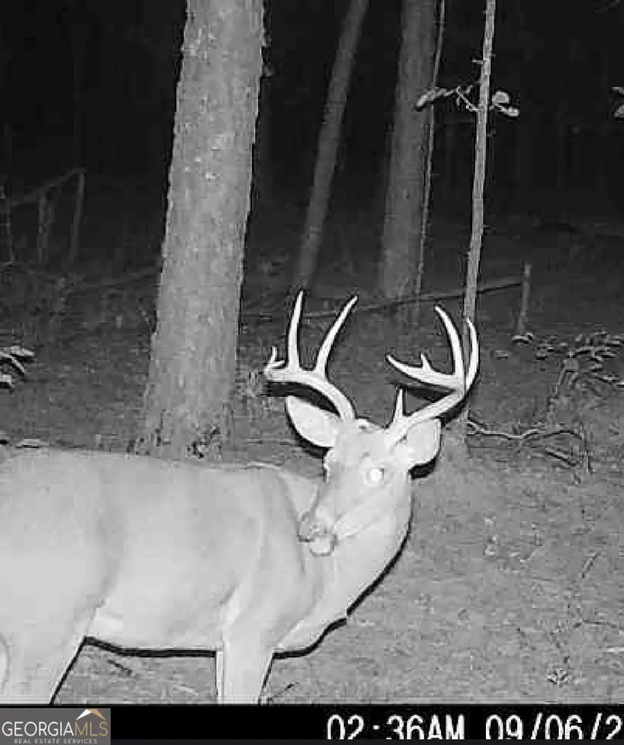 0 Joe Anthony Road, Senoia, GA 30276 - #3