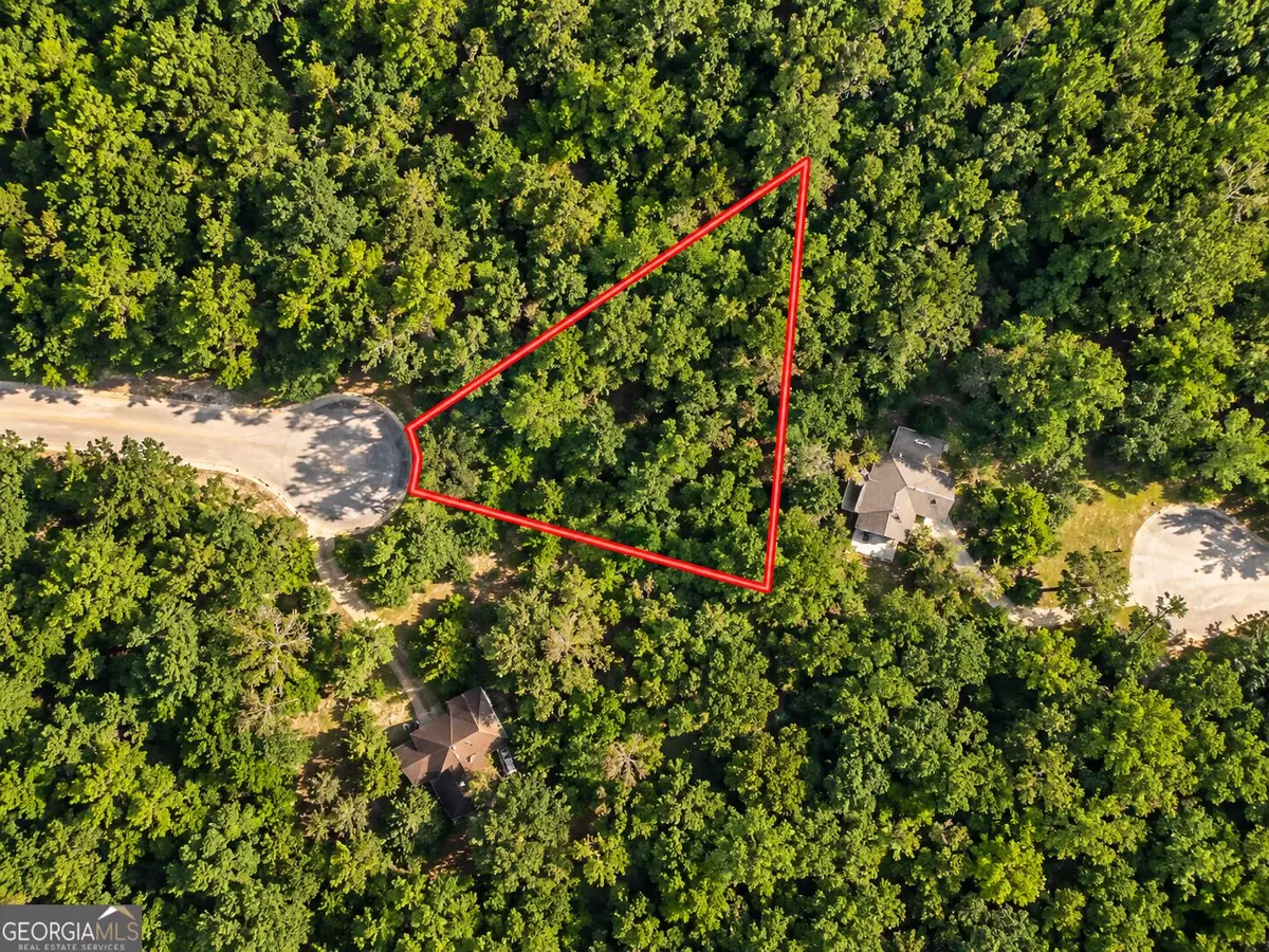 0.54 ACRE Golden Court, Waverly, GA 31565 - #1