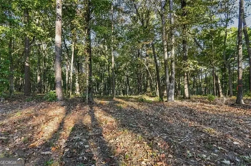 735 Chattin Drive, Canton, GA 30115 - #2