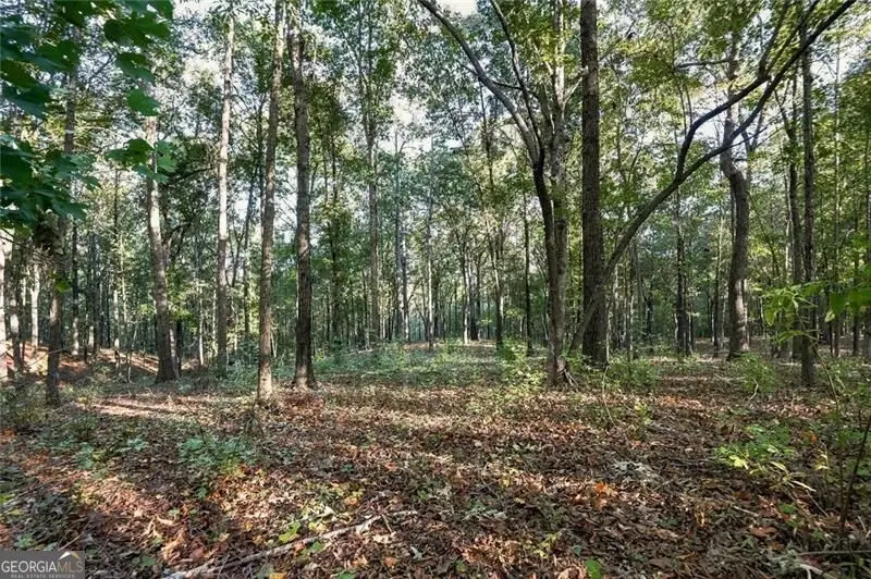 729 Chattin Drive, Canton, GA 30115 - #2