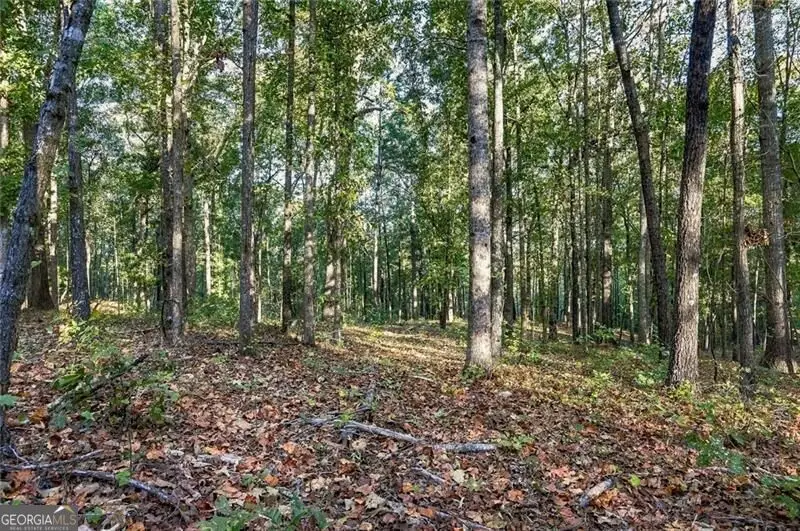729 Chattin Drive, Canton, GA 30115 - #3