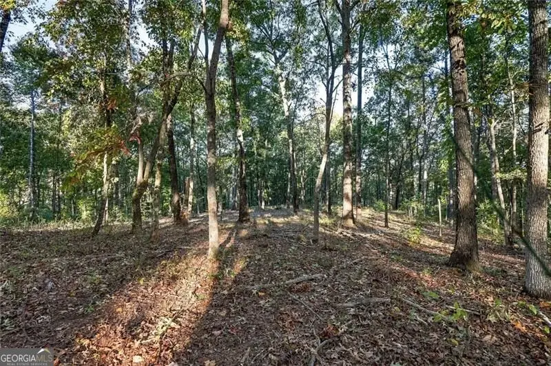 723 Chattin Drive, Canton, GA 30115 - #2