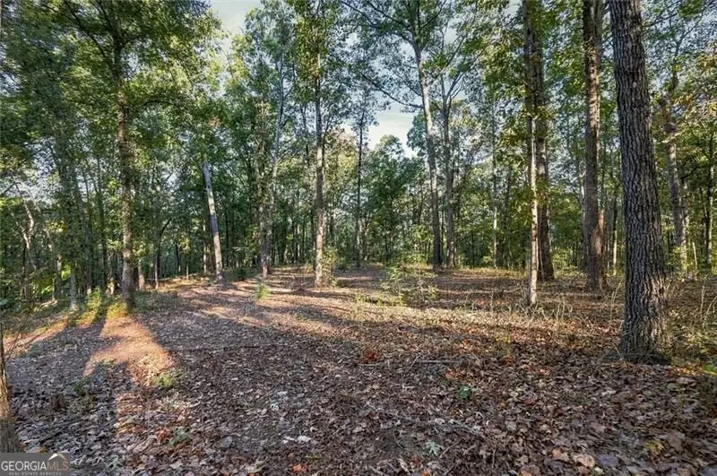 723 Chattin Drive, Canton, GA 30115 - #3