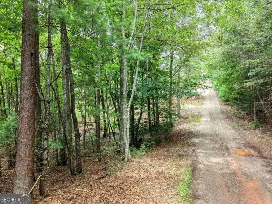 155 Atkins Trail, Blairsville, GA 30512 - #2