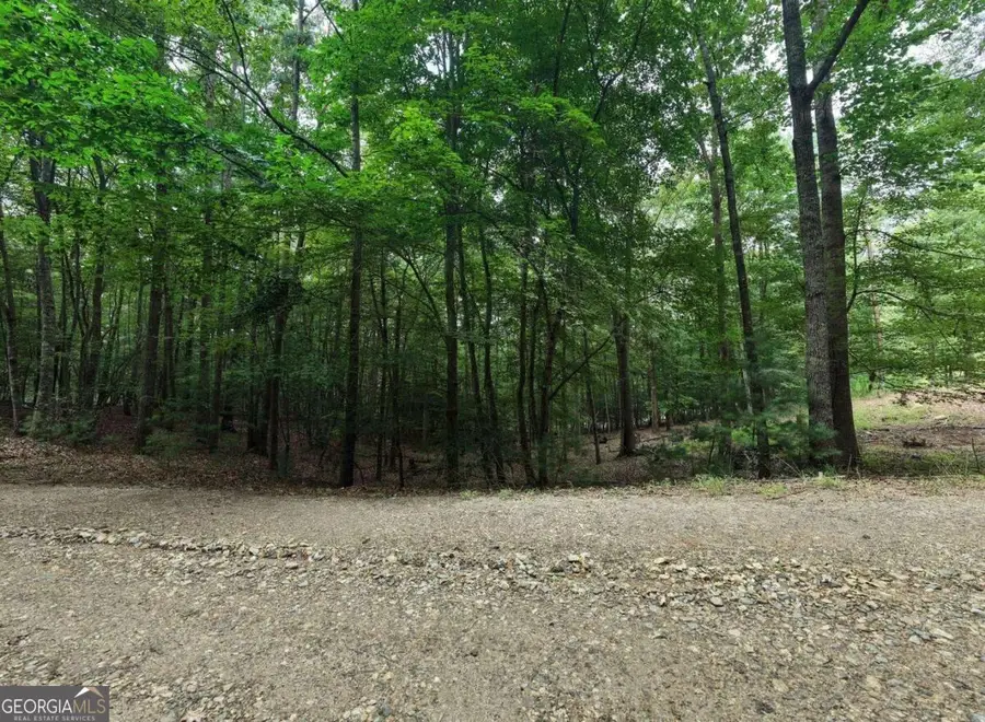 155 Atkins Trail, Blairsville, GA 30512 - #3