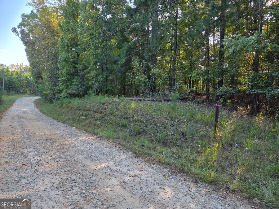 0 Vickers Road, Flovilla, GA 30216 - #3