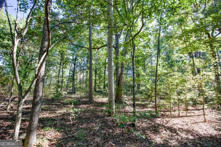57 AC Soapstone Road, Banks, GA 30511 - #2