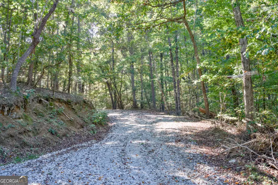 57 AC Soapstone Road, Banks, GA 30511 - #3