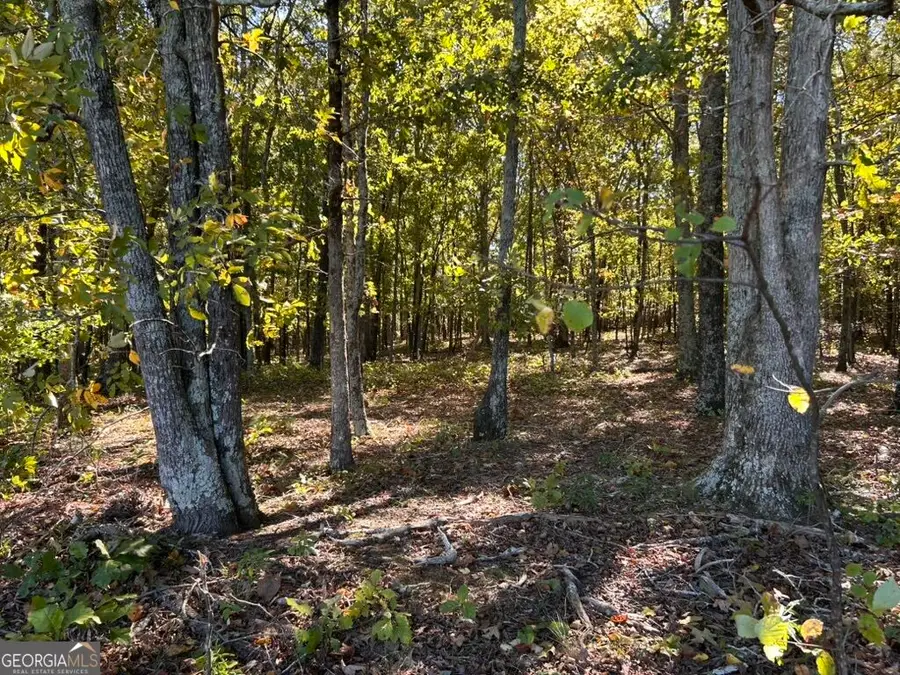 0 Arnold Dairy Farm Road, Social Circle, GA 30025 - #2