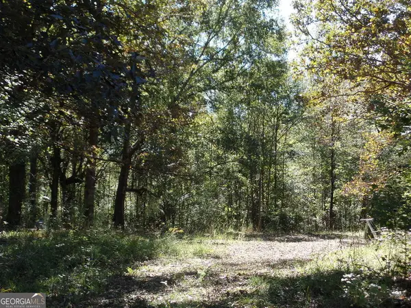 8.37 AC Dixon Road, Newnan, GA 30263