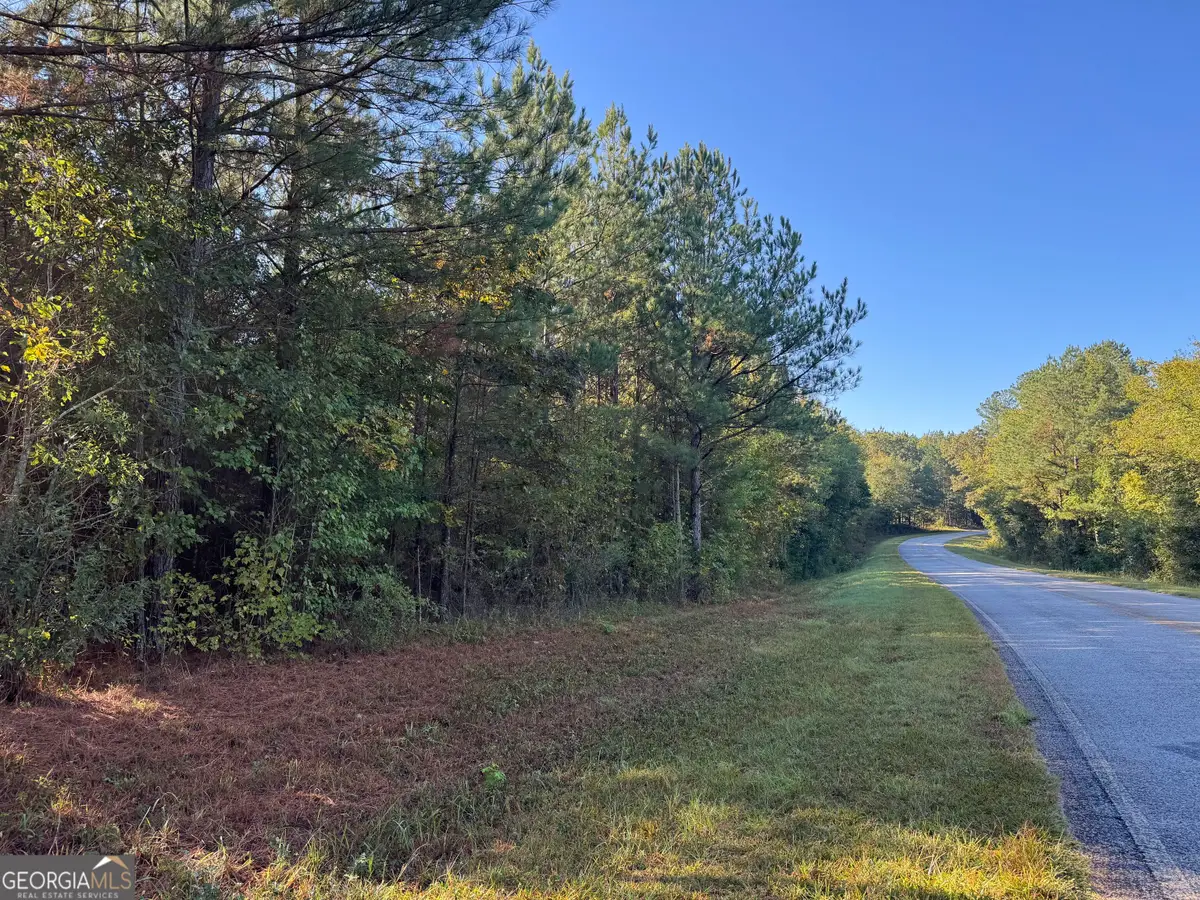 TRACT 11 Butler Road, Franklin, GA 30217 - #1