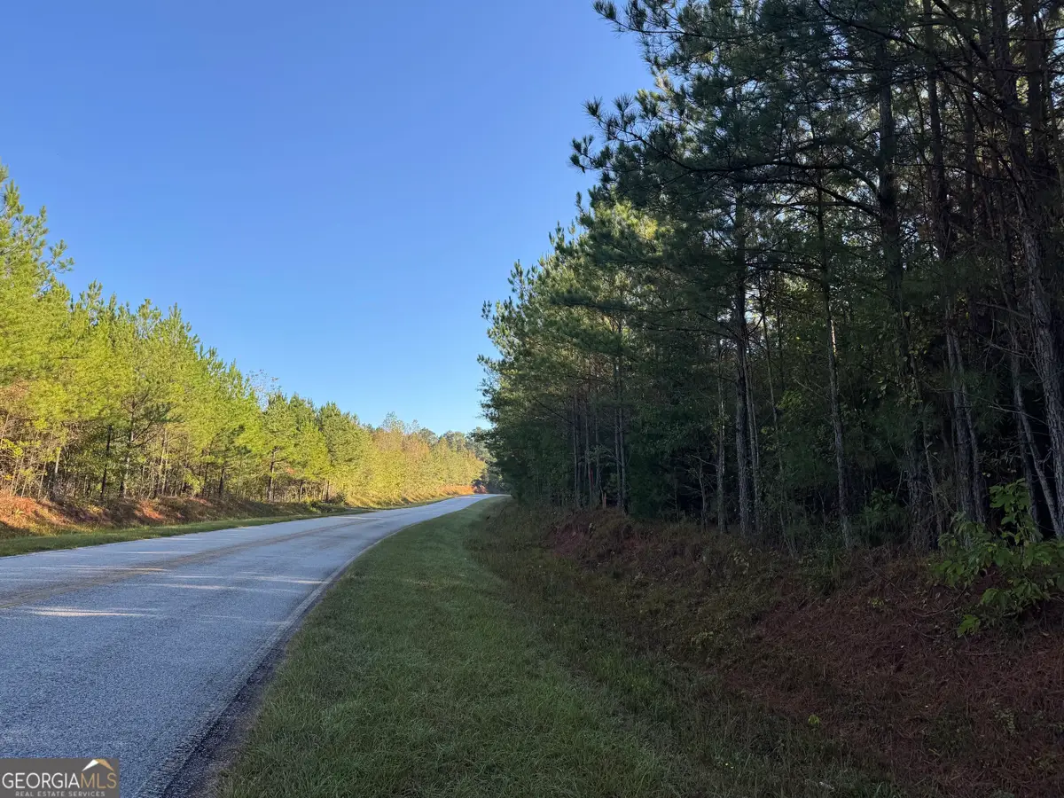 TRACT 15 Butler Road, Franklin, GA 30217 - #1