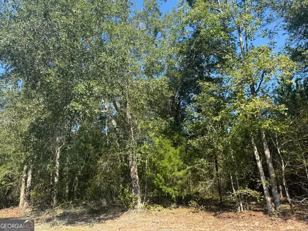 001 216 Highway, Arlington, GA 39813