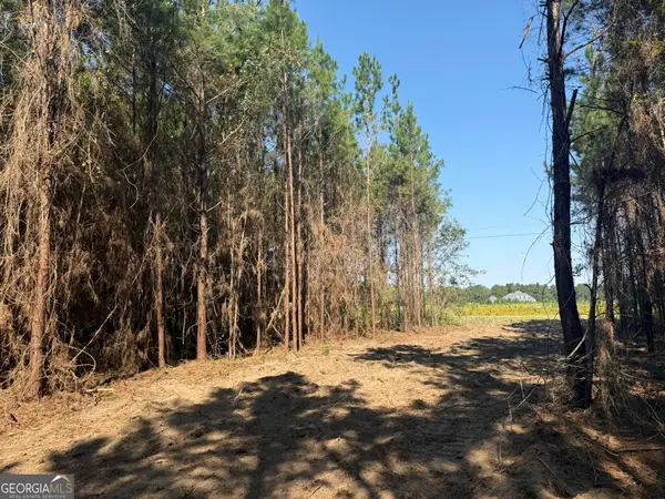 021 216 Highway, Arlington, GA 39813