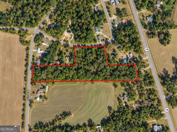 9.93 ACRES Park Avenue, Reynolds, GA 31076