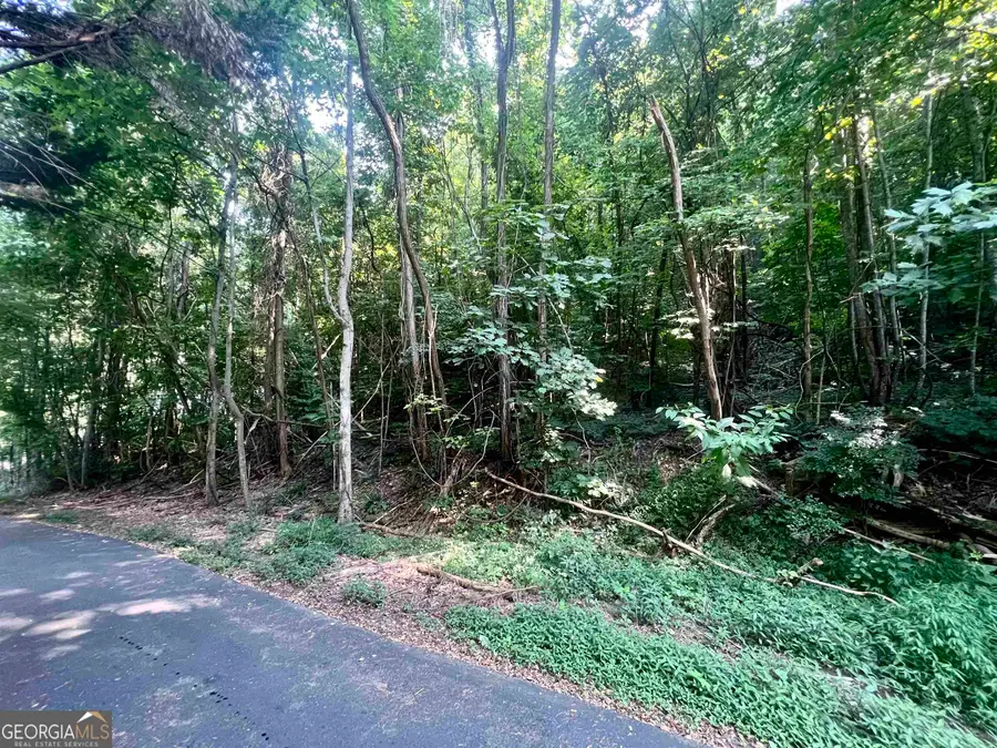 LOT 13 Chalet Drive, Sautee Nacoochee, GA 30571 - #2
