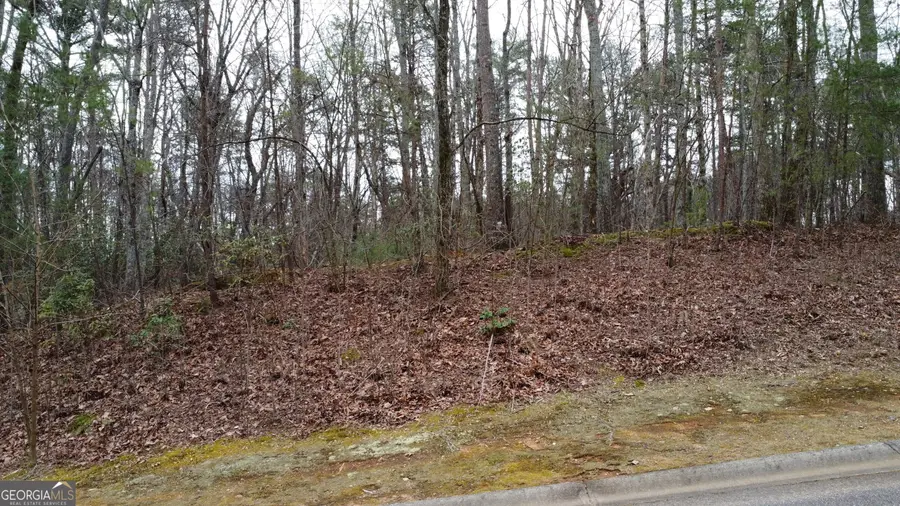 LOT 1446 Glazenwood Drive, Clarkesville, GA 30523 - #3