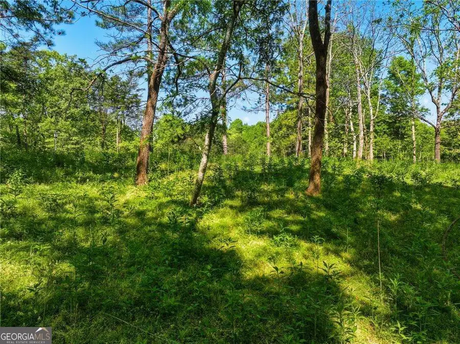 LOT 2 Summit Drive, Dahlonega, GA 30533 - #2