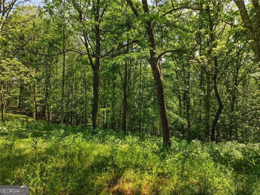 LOT 2 Summit Drive, Dahlonega, GA 30533 - #3