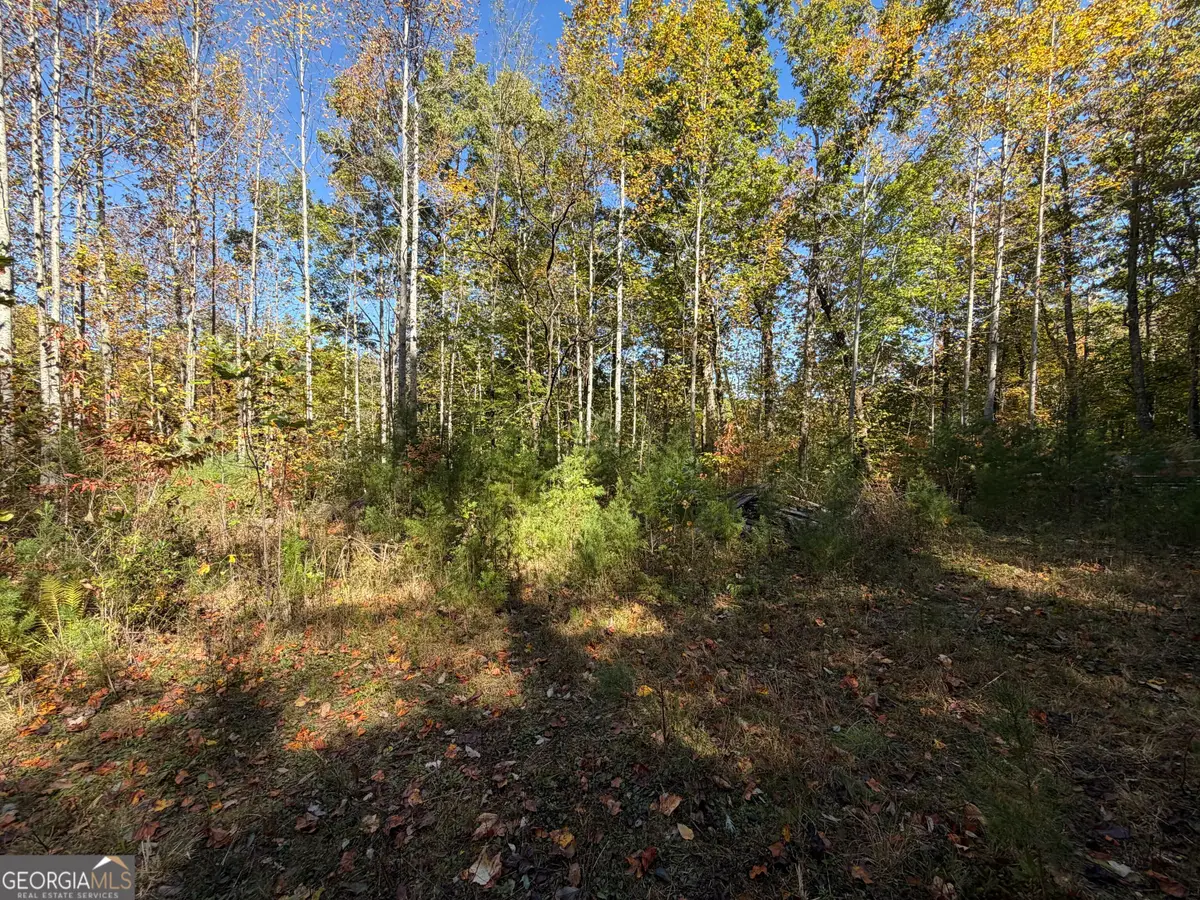 0 Benny Mtn Road #LOT A, Clayton, GA 30525 - #1
