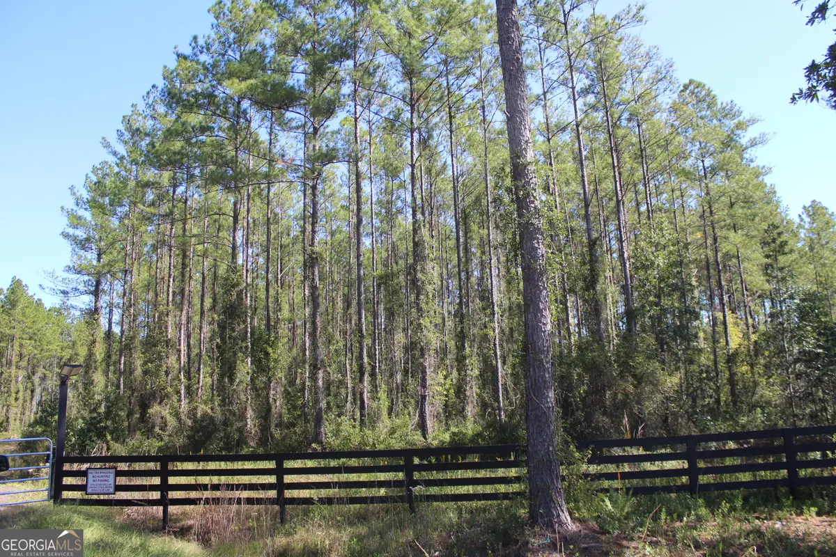 0 Old Reserve Road, White Oak, GA 31568 - #1