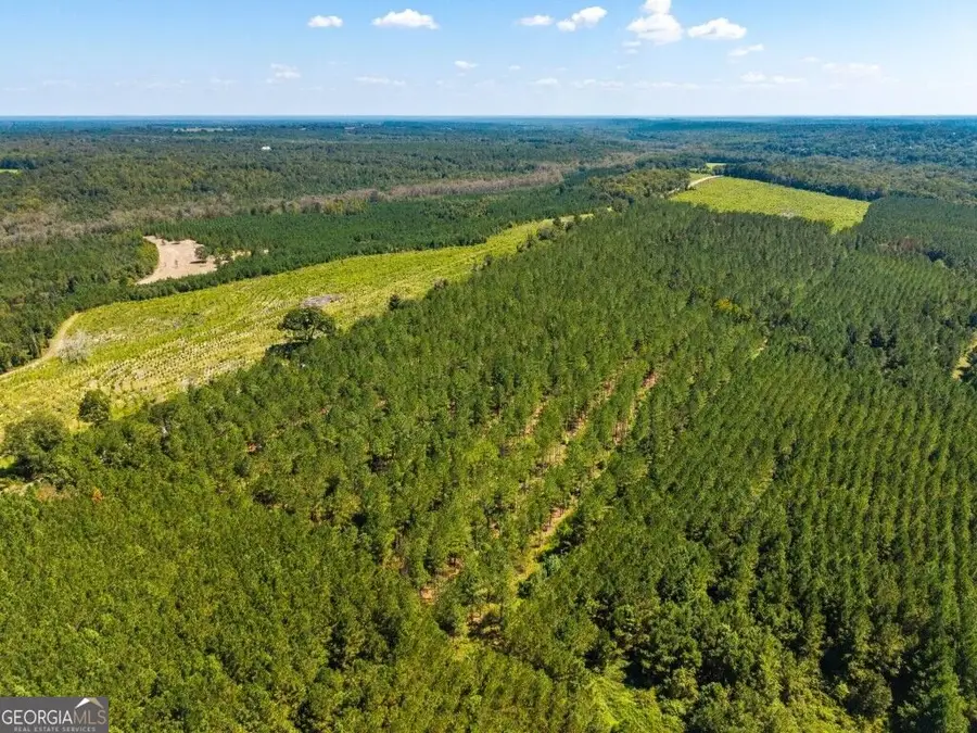 0 W State Route 90 Road, Ideal, GA 31041 - #2