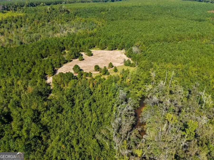 0 W State Route 90 Road, Ideal, GA 31041 - #3