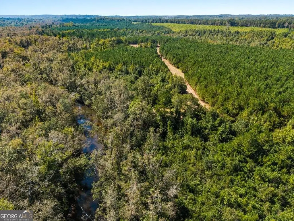 1 W State Route 90 Road #WHITEWATER FARM, Ideal, GA 31041 - #1