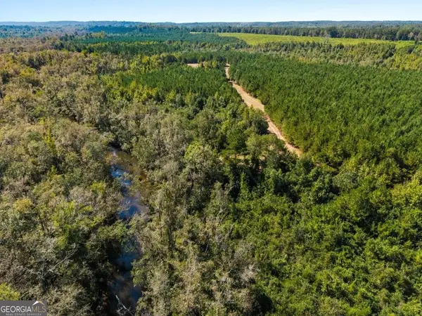 1 W State Route 90 Road #WHITEWATER FARM, Ideal, GA 31041