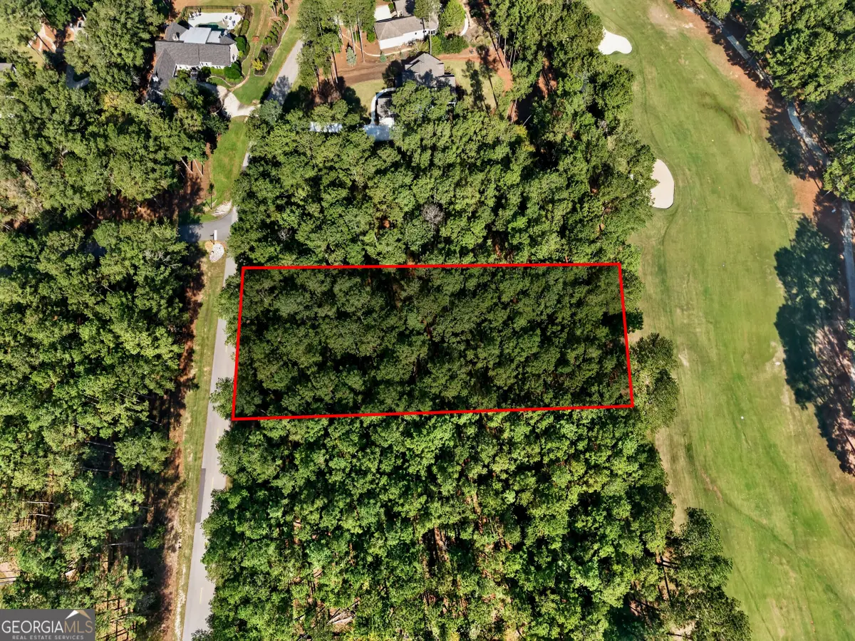 2320 Club Drive, Greensboro, GA 30642 - #1
