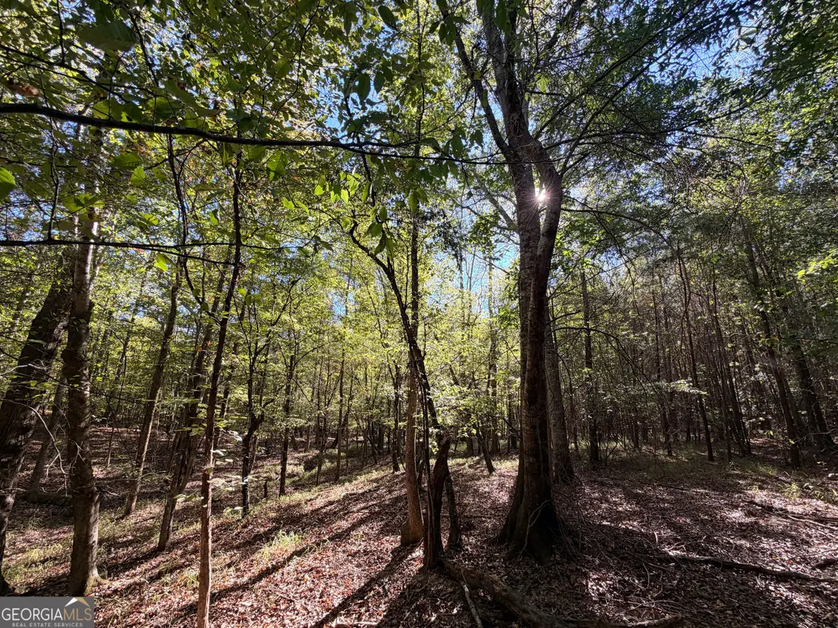 12 Hollis Norman Road, Tignall, GA 30668 - #1
