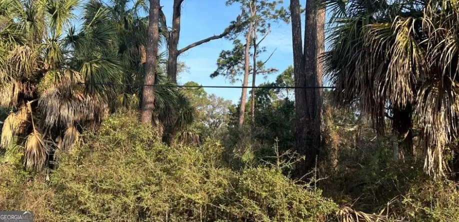 1109 Solomon Avenue, Tybee Island, GA 31328 - #1