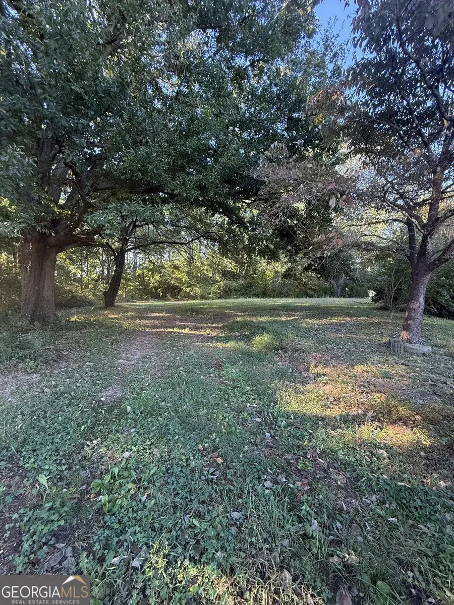 338 Thomas Dorsey Drive, Villa Rica, GA 30180 - #3
