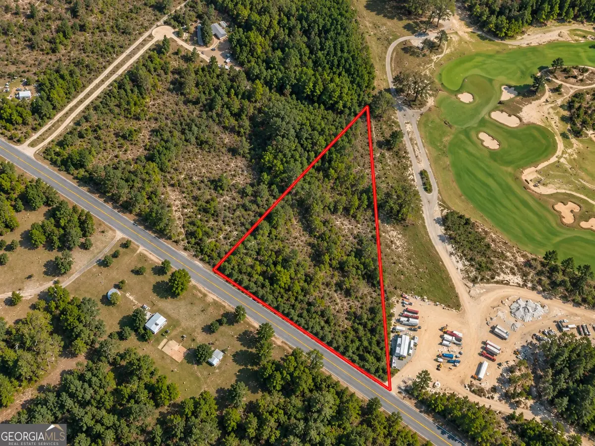 5 ACRES Henry Currington Road, Mauk, GA 31058 - #1
