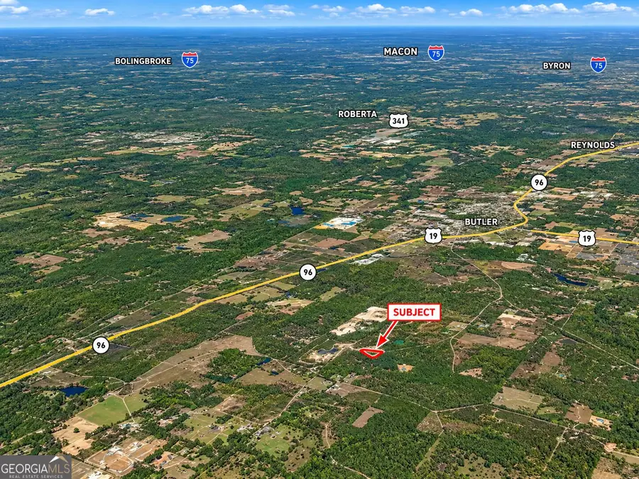 5 ACRES Henry Currington Road, Mauk, GA 31058 - #2
