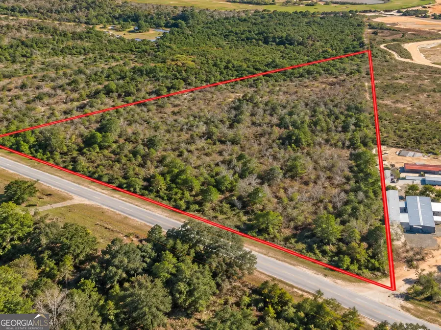 5 ACRES Henry Currington Road, Mauk, GA 31058 - #3