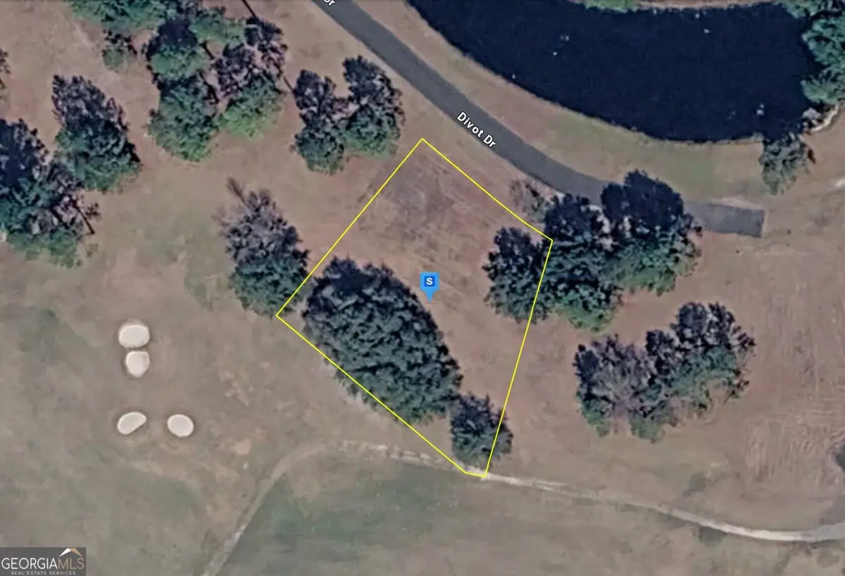 10 Divot Drive, Shellman Bluff, GA 31331 - #1